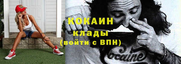 винт Бронницы