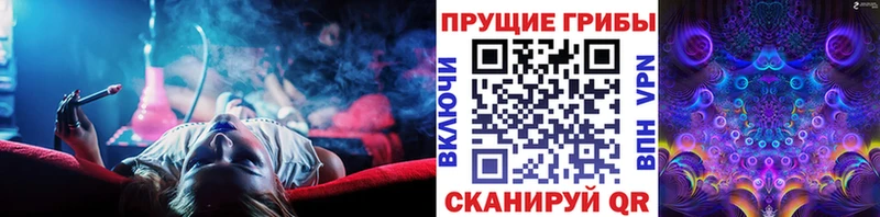 Галлюциногенные грибы ЛСД Северск